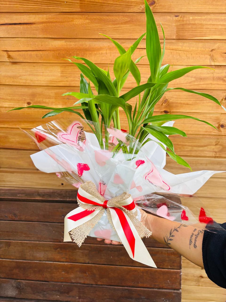 bambu da sorte para presente